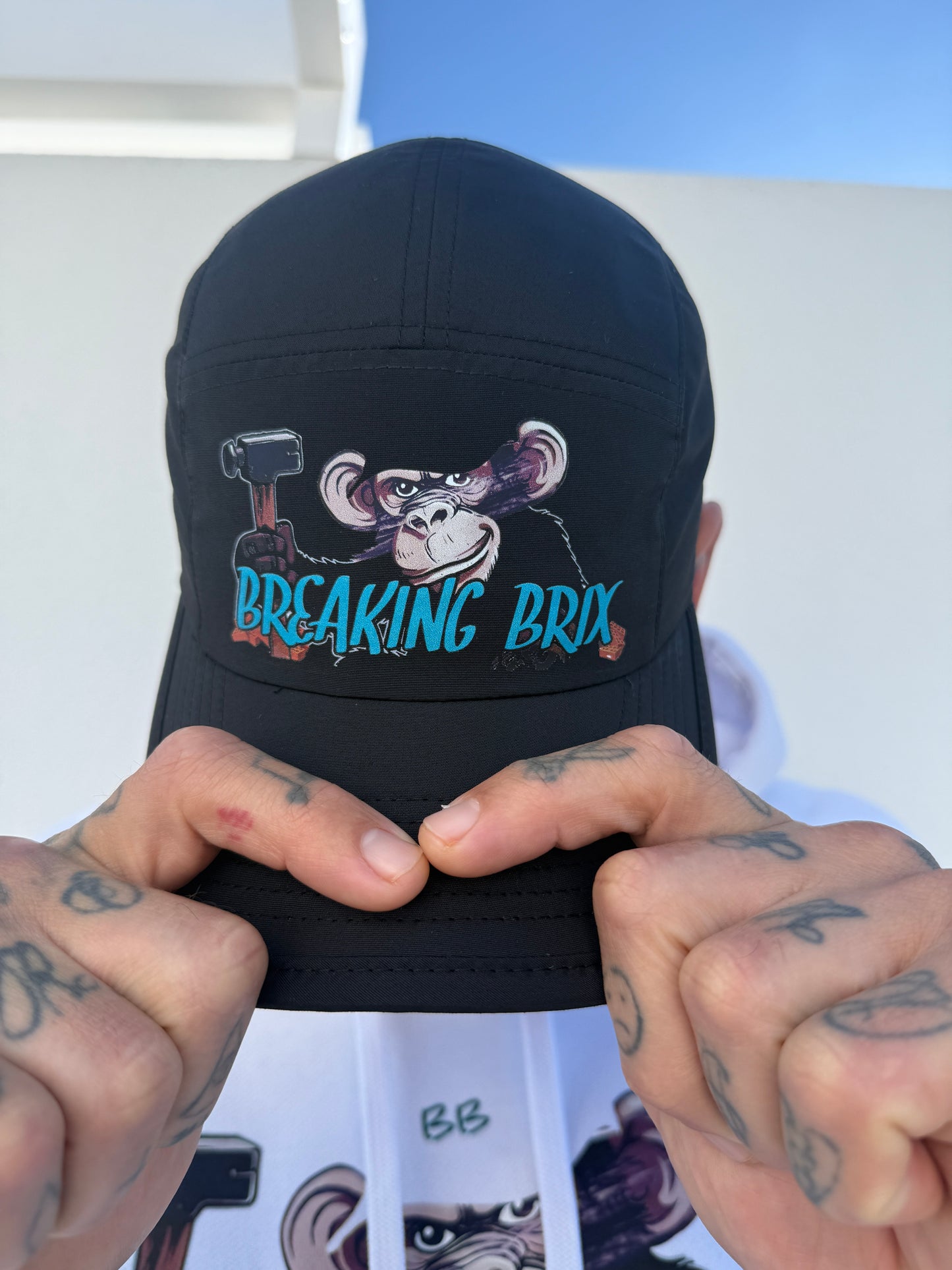 BREAKING BRIX street cap