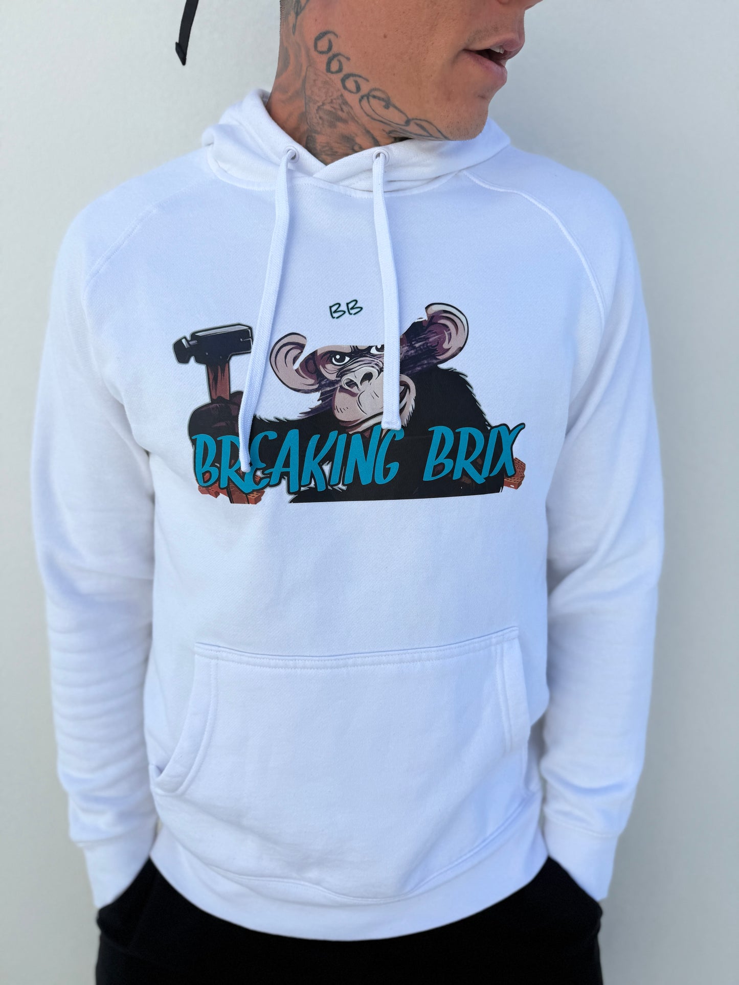 BREAKING BRIX HOOD