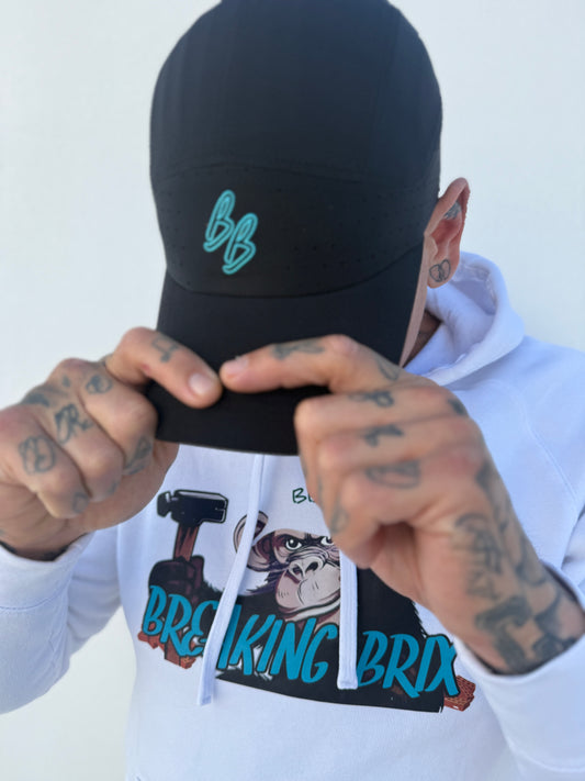 BREAKING BRIX HOOD