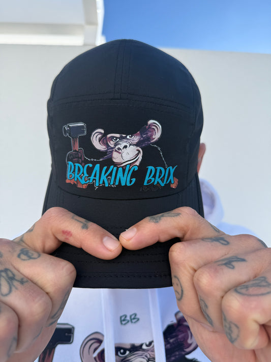 BREAKING BRIX street cap