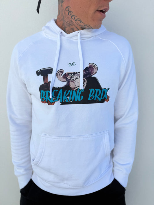 BREAKING BRIX HOOD